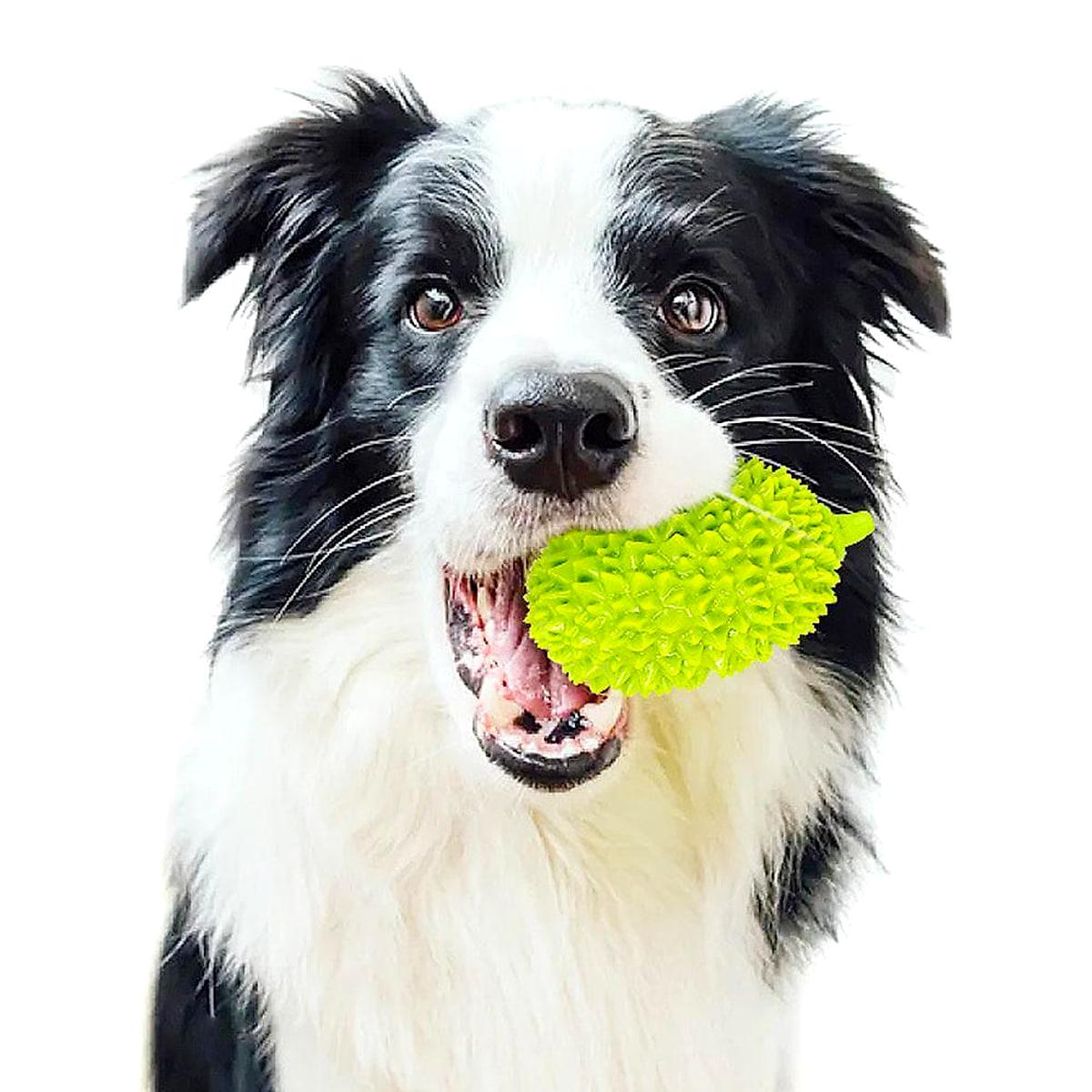 Tuggleksak för hund formad som en durian – 12,5 cm