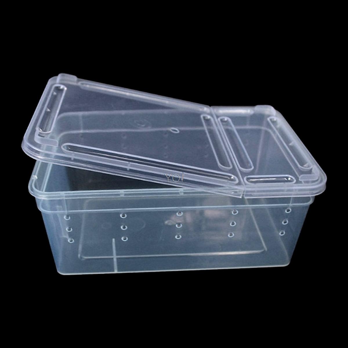 Genomskinlig låda för reptiler – 19 × 12,5 × 7,5 cm