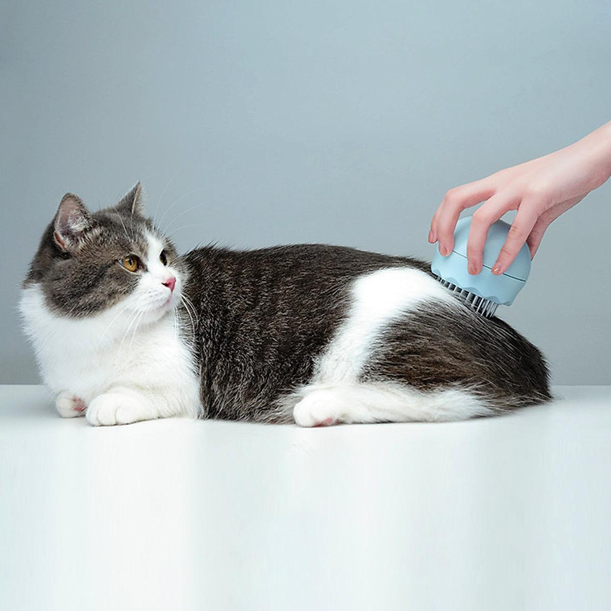Rund massageborste för katt och hund – för vått och torrt päls