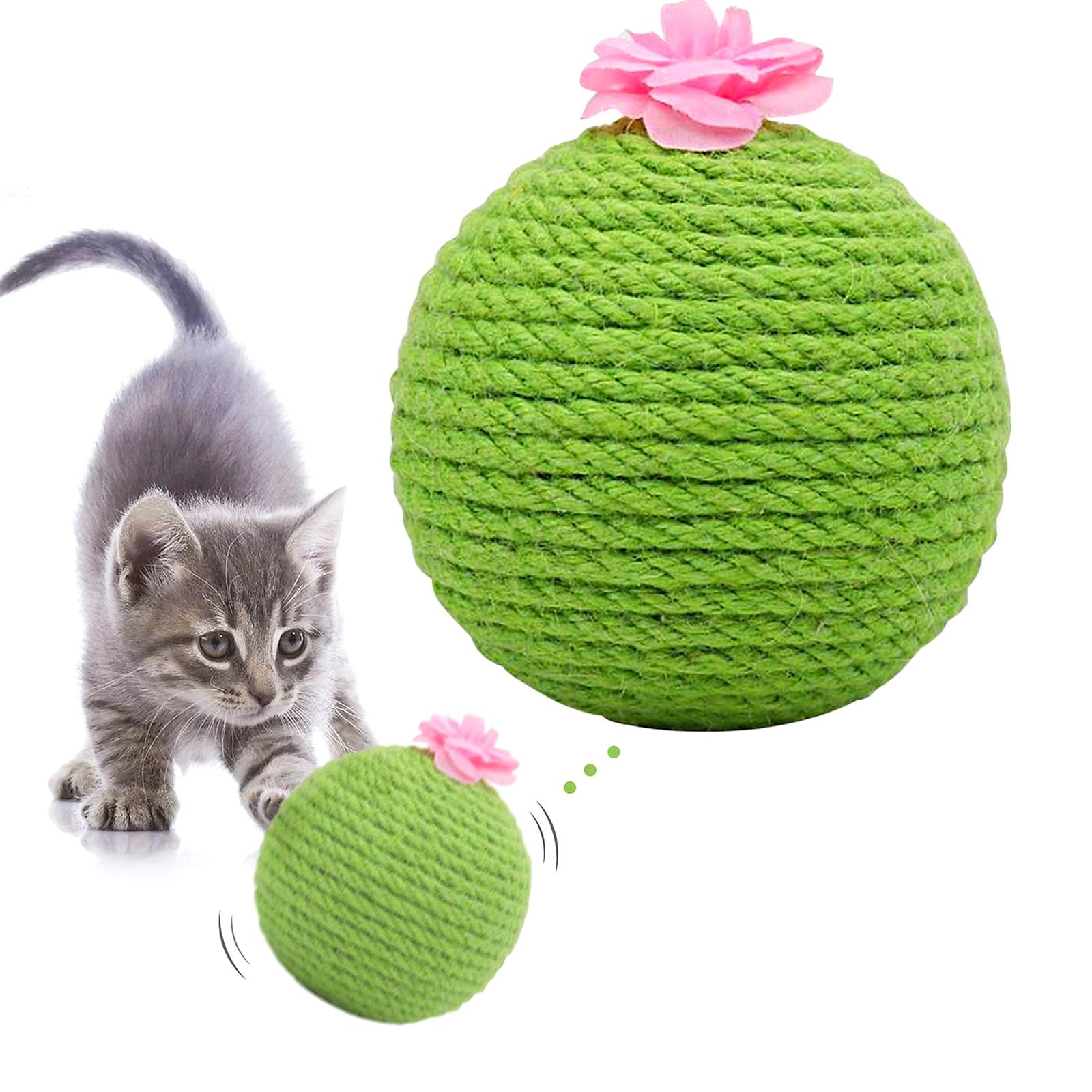 Kaktus med kattmynta – klösboll och tumlare för katt