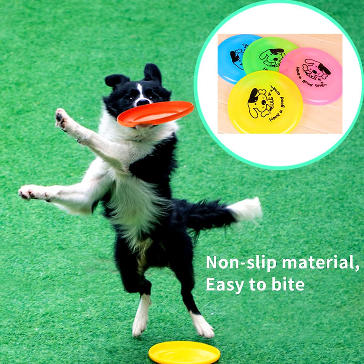 Frisbee i silikon för hund – Ø 20 cm