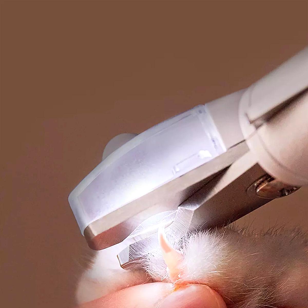Klotång med LED-ljus och stänkskydd för hund och katt