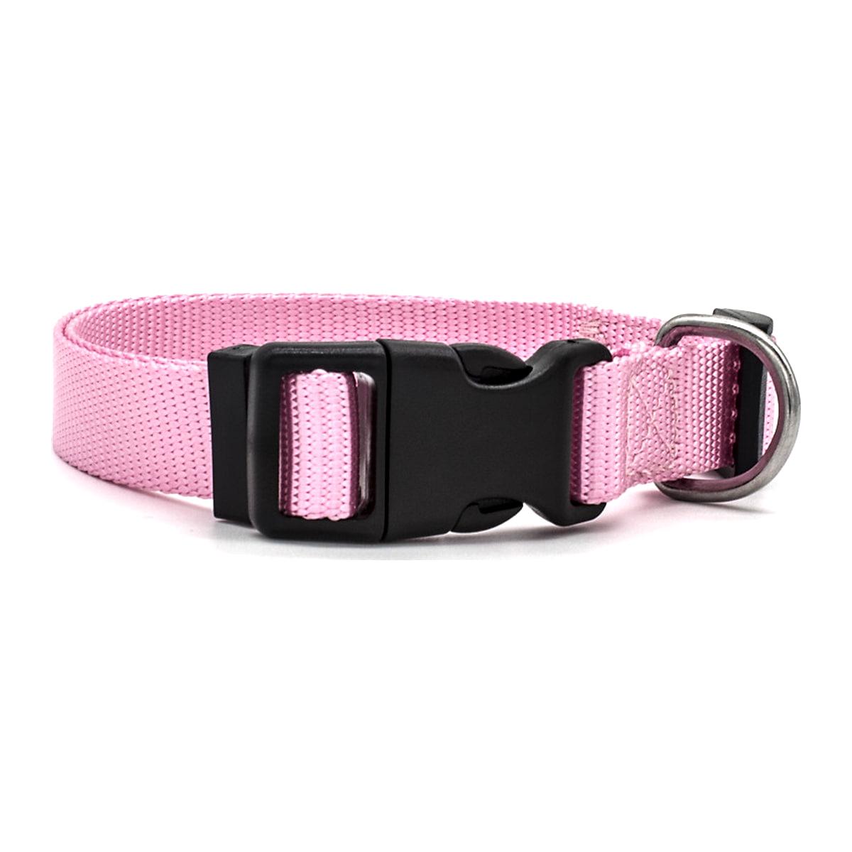Hundhalsband i nylon med neoprenfoder – även för katt