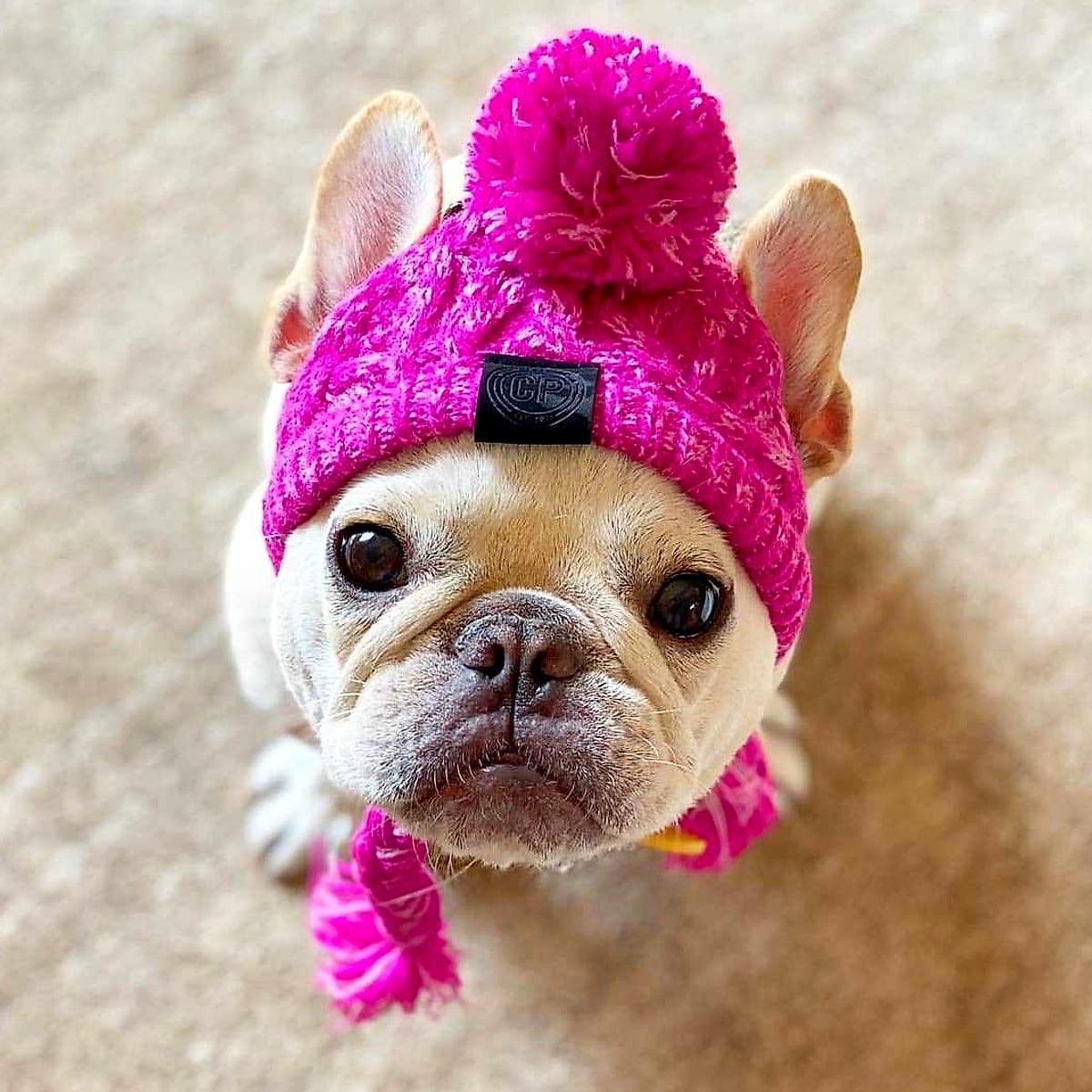 Stickad mössa med pompom för hund