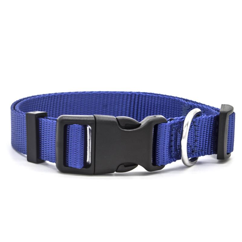 Hundhalsband i nylon med neoprenfoder – även för katt