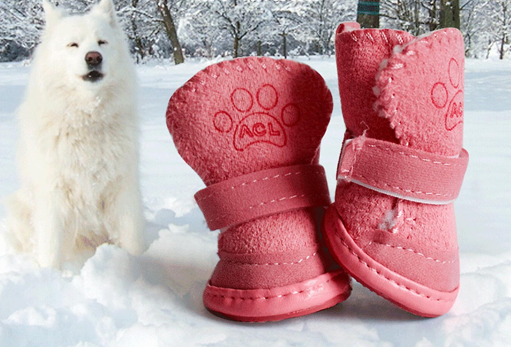 Varma vinterskor för hund i sammet – 4 st