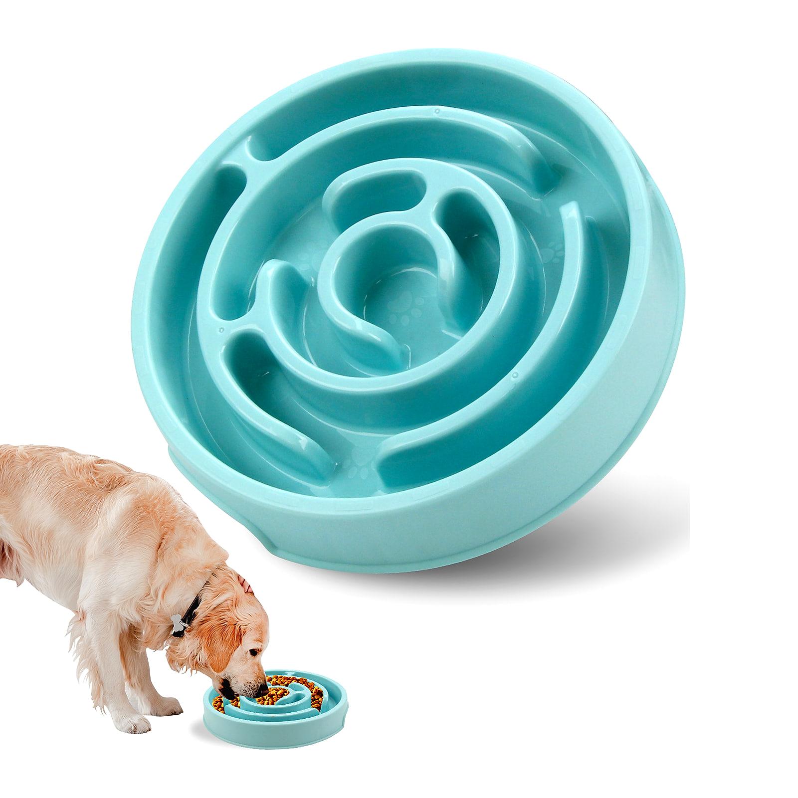 Slow feeder-skål som får hunden att äta långsammare